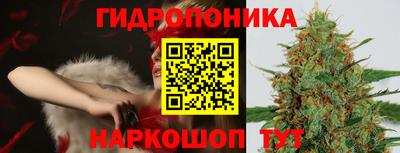 индика Усть-Джегута