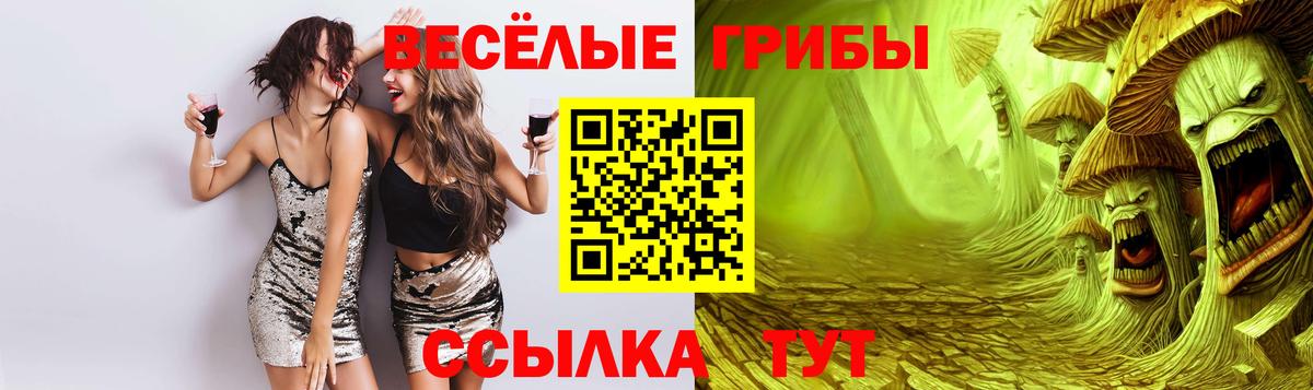 Галлюциногенные грибы Psilocybine cubensis  Вход с VPN  где найти   Галлюциногенные грибы мухоморы  Бахчисарай 